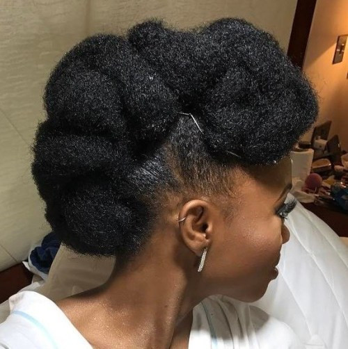 Natural Hairstyles Updo
 50 Cute Updos for Natural Hair