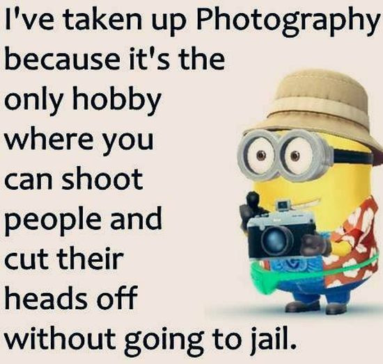Newest Funny Quotes
 New Funny Minion And Quotes