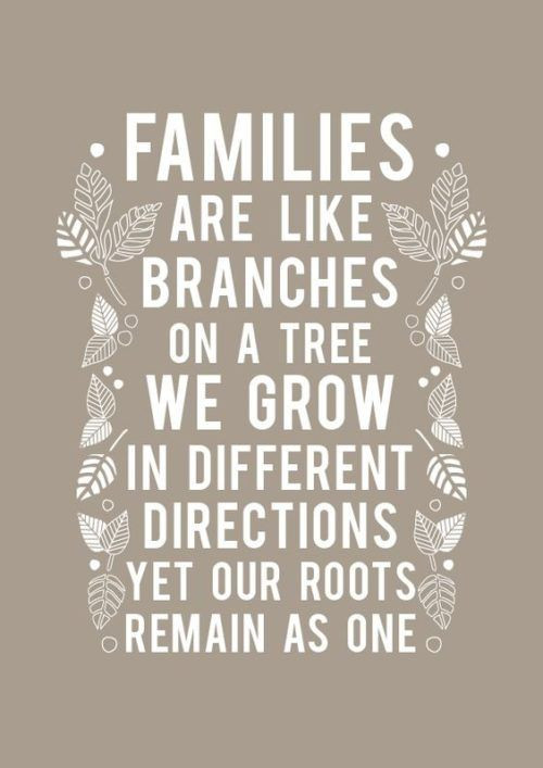 Nice Family Quotes
 Top 25 Family Quotes and Sayings
