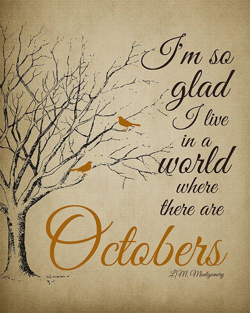 October Baby Quotes
 Life Is Beautiful October Baby Quotes QuotesGram