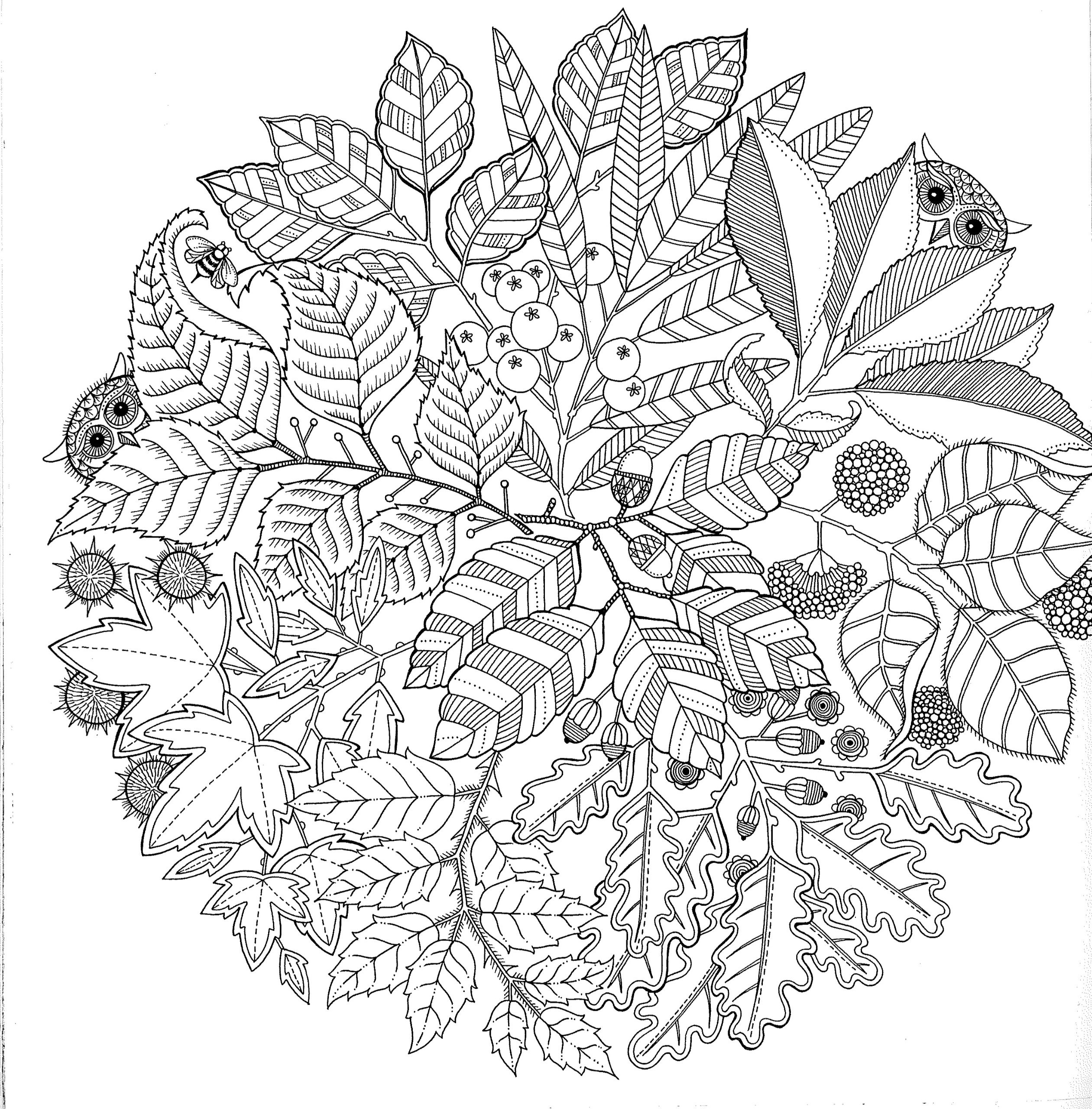 Online Adult Coloring Books
 Free Printable Abstract Coloring Pages for Adults