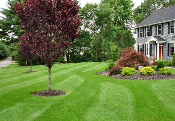 Online Landscape Design Service
 Lawn Care Property Maintenance