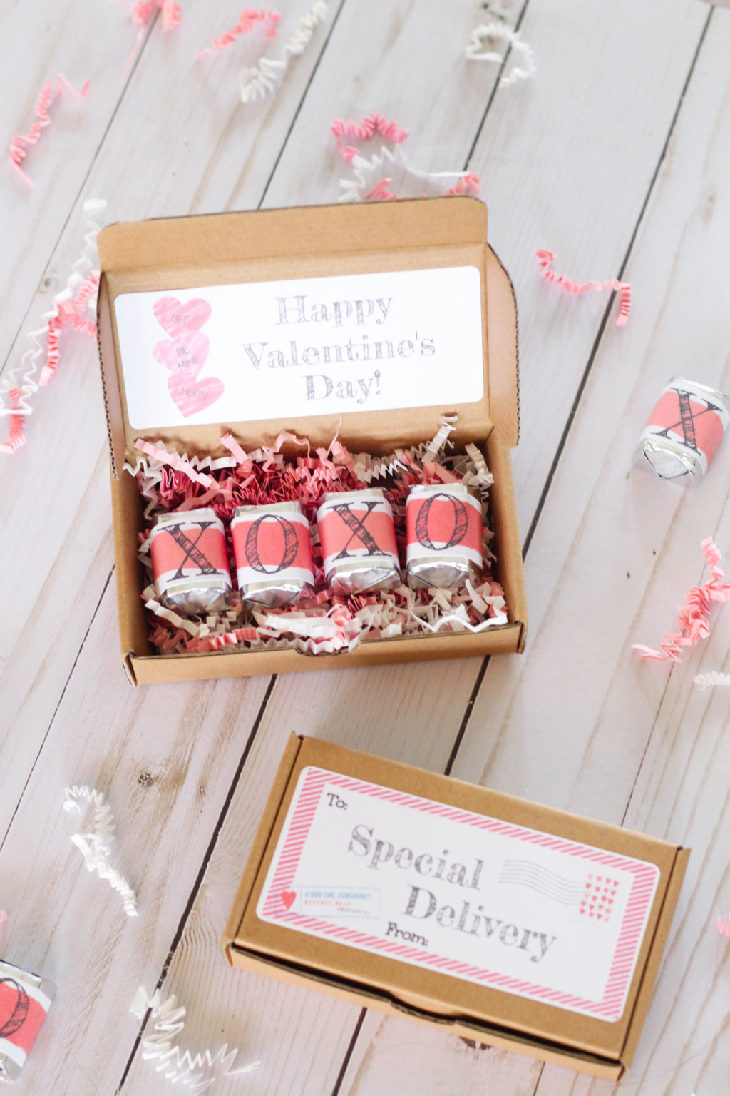 Online Valentines Gift Ideas
 Special Delivery Valentine s Day Gift for Classmates