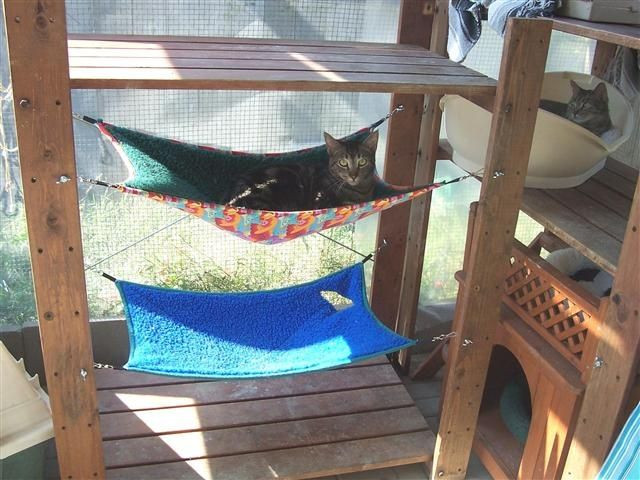 Outdoor Cat Bed DIY
 Double decker outdoor kitty hammocks with solid frame and