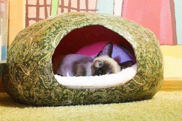 Outdoor Cat Bed DIY
 Cat Is Delighted