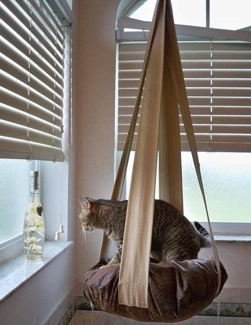 Outdoor Cat Bed DIY
 10 images about hanging beds on Pinterest