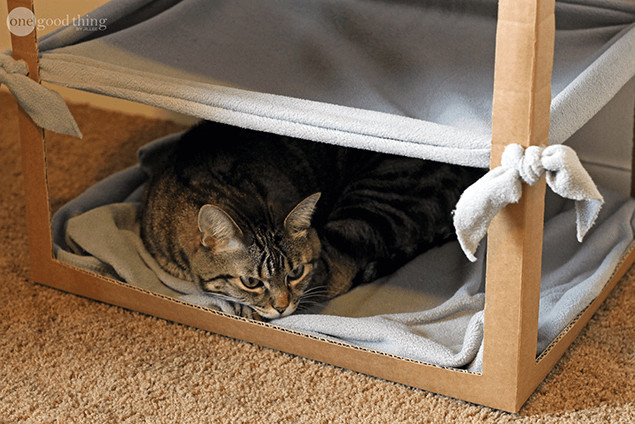 Outdoor Cat Bed DIY
 Make A Simple DIY Cat Hammock