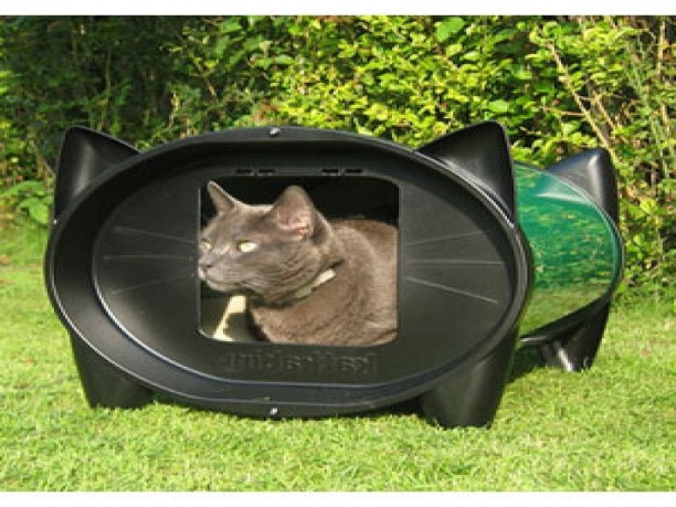 Outdoor Cat Bed DIY
 This Is The Best Outdoor Cat Furniture cheap cat
