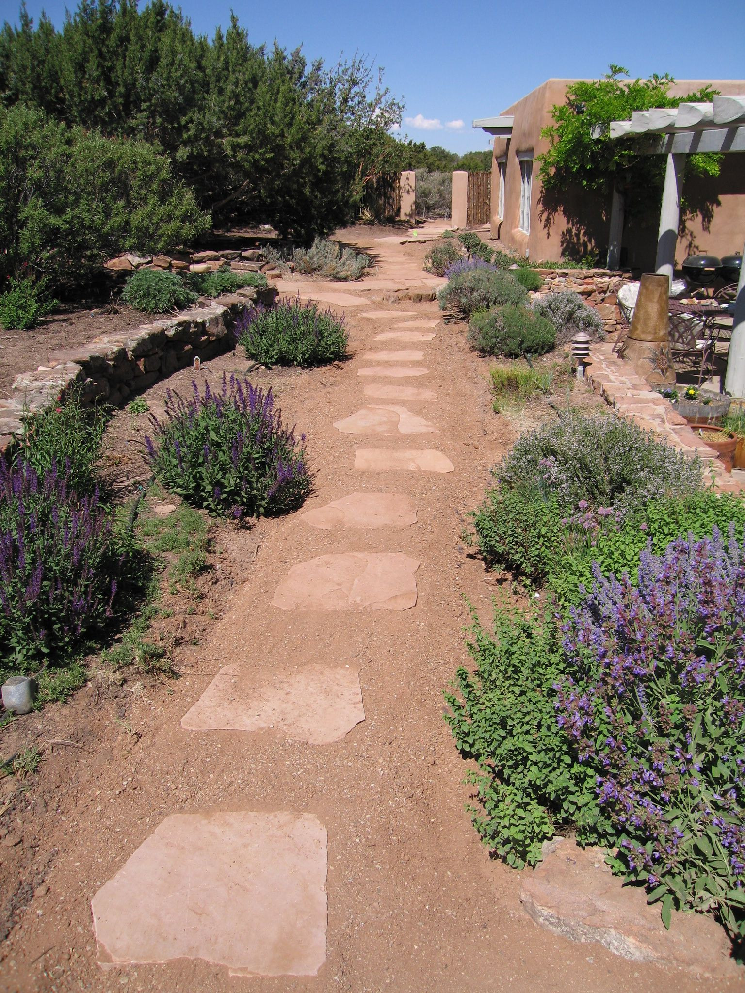 Outdoor Landscape Desert
 Xeriscape images great for brainstorming for how you d
