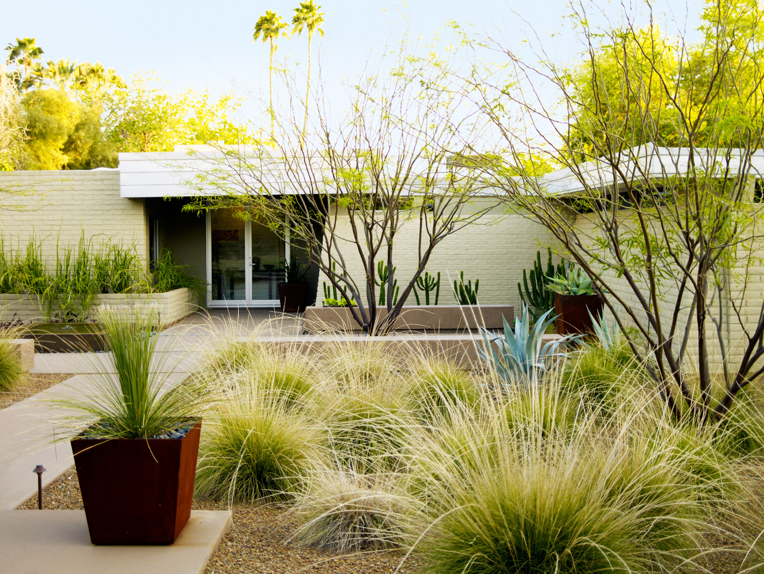Outdoor Landscape Desert
 Desert Landscaping Ideas from a Phoenix Front Yard