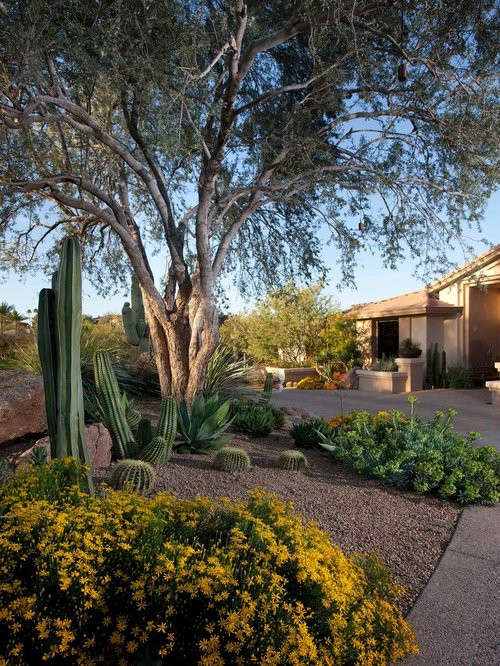 Outdoor Landscape Desert
 Backyard Desert Landscaping Home Design Ideas