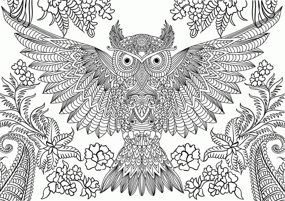 Owl Coloring Book For Adults
 Free Owl Adult Coloring Pages To Print Coloring Home