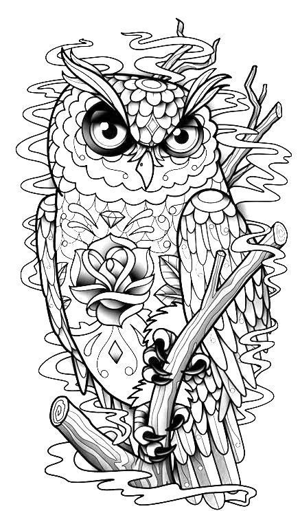 Owl Coloring Book For Adults
 Resultado de imagen de colored owl pictures