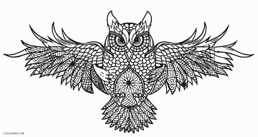 Owl Coloring Book For Adults
 Free Printable Owl Coloring Pages For Kids