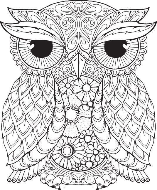 Owl Coloring Book For Adults
 Pin by Shreya Thakur on Free Coloring Pages