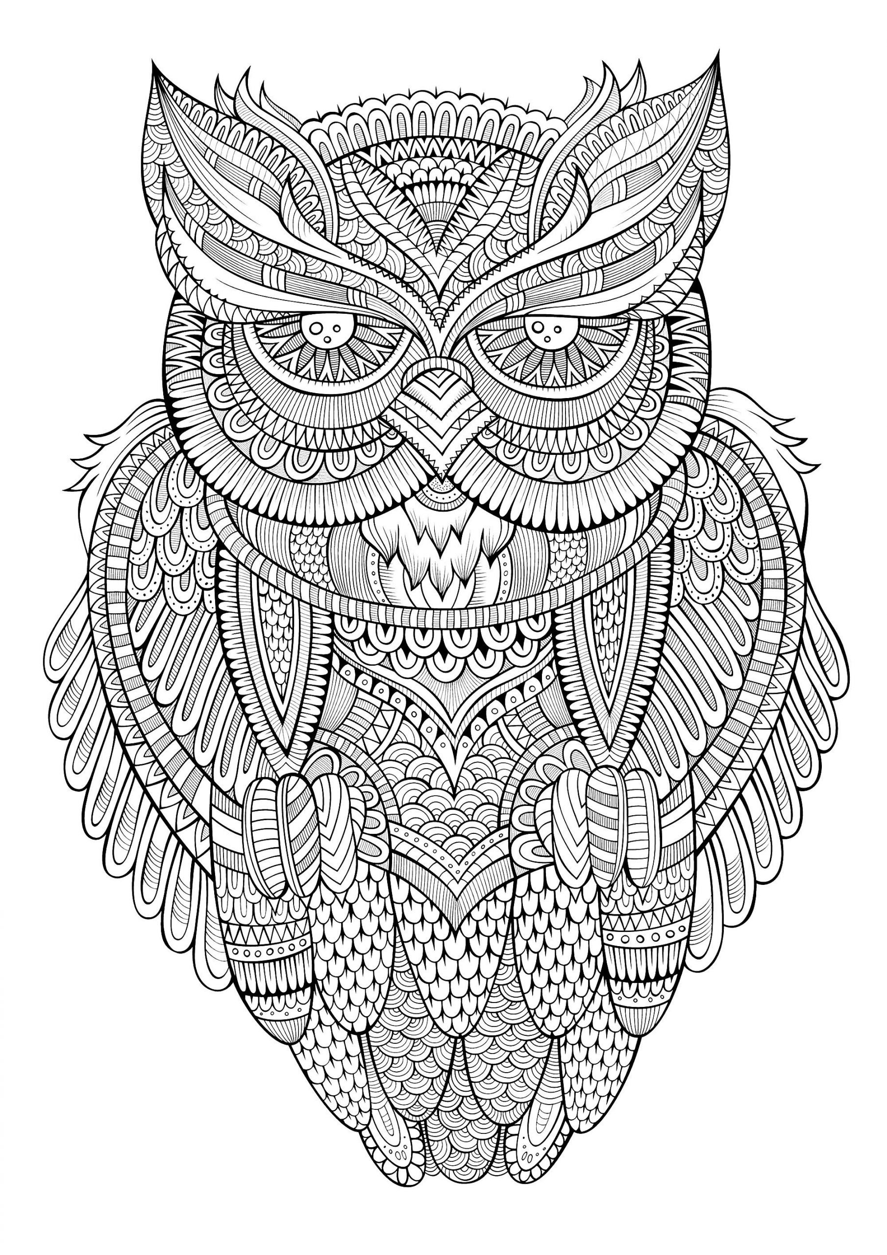 Owl Coloring Book For Adults
 Peaceful Owl Owls Adult Coloring Pages