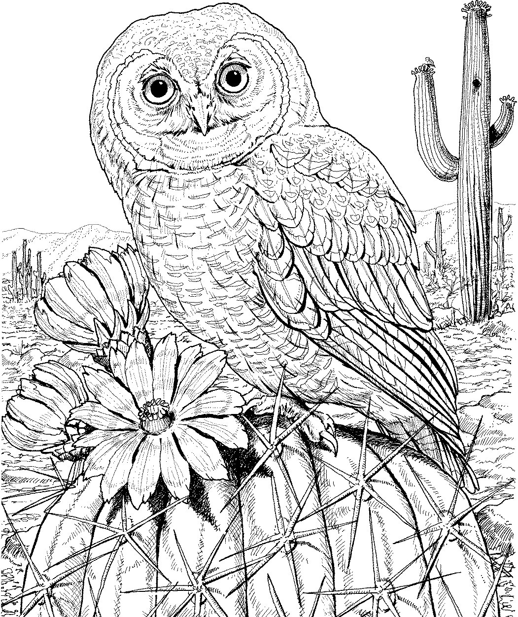 Owl Coloring Book For Adults
 10 Difficult Owl Coloring Page For Adults
