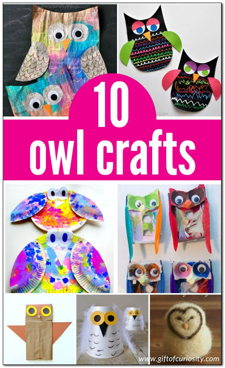 Owl Gifts For Kids
 10 owl crafts for kids