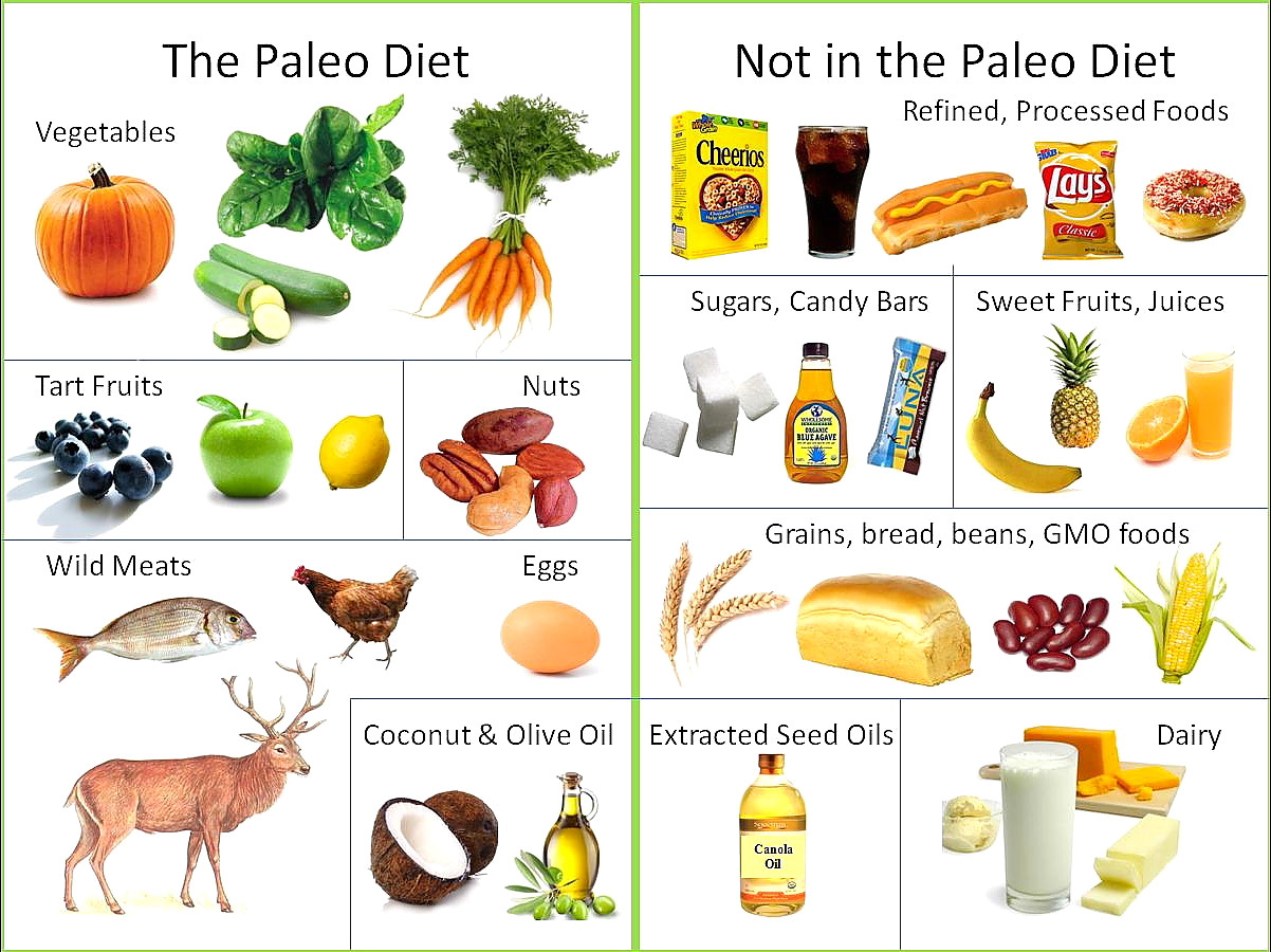 Paleo Diet Pro And Cons
 Paleo Desserts