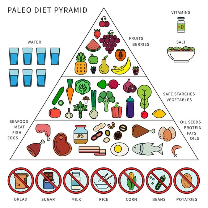 Paleo Diet Pro And Cons
 Paleo Diet Pros and Cons