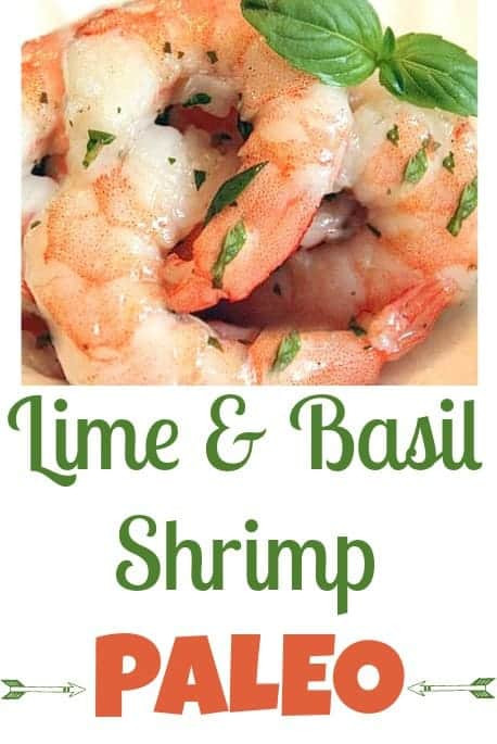 Paleo Shrimp Recipes With Coconut Milk
 paleo shrimp recipe with coconut milk