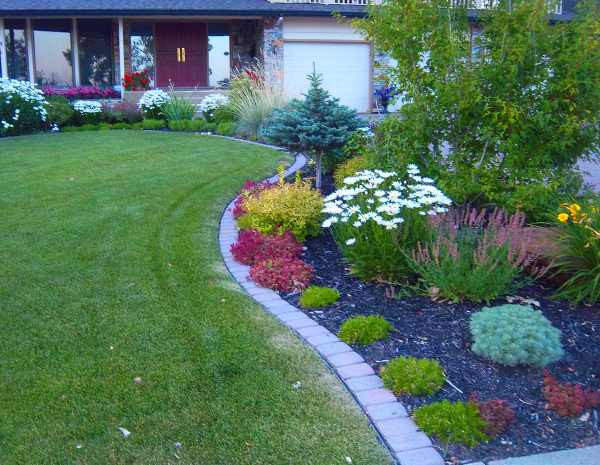 Patio Border Landscaping
 Landscaping Borders Edging