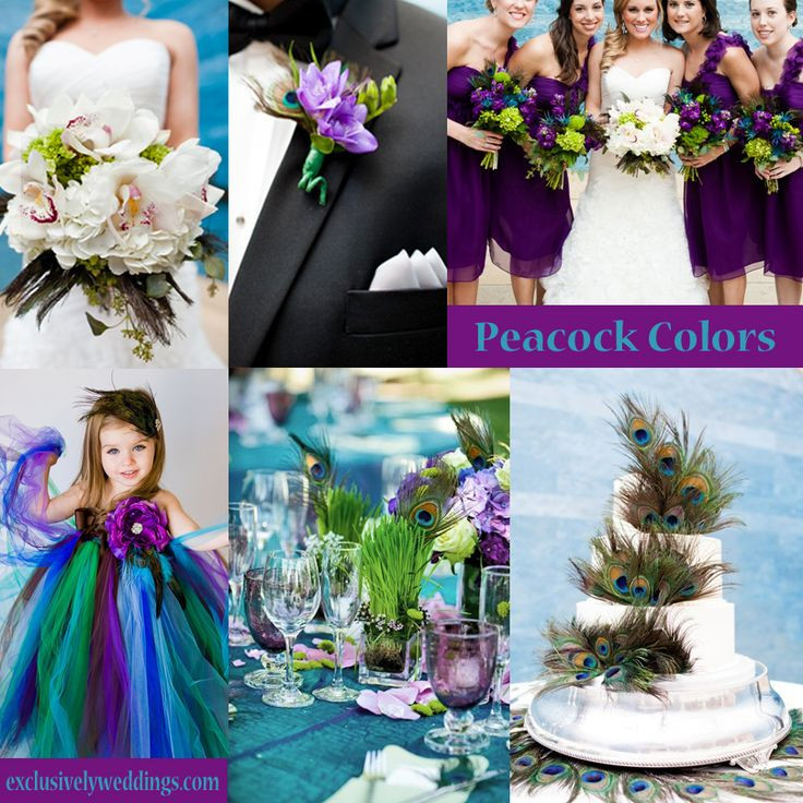 Peacock Wedding Colors
 120 best Peacock Colors Wedding images on Pinterest