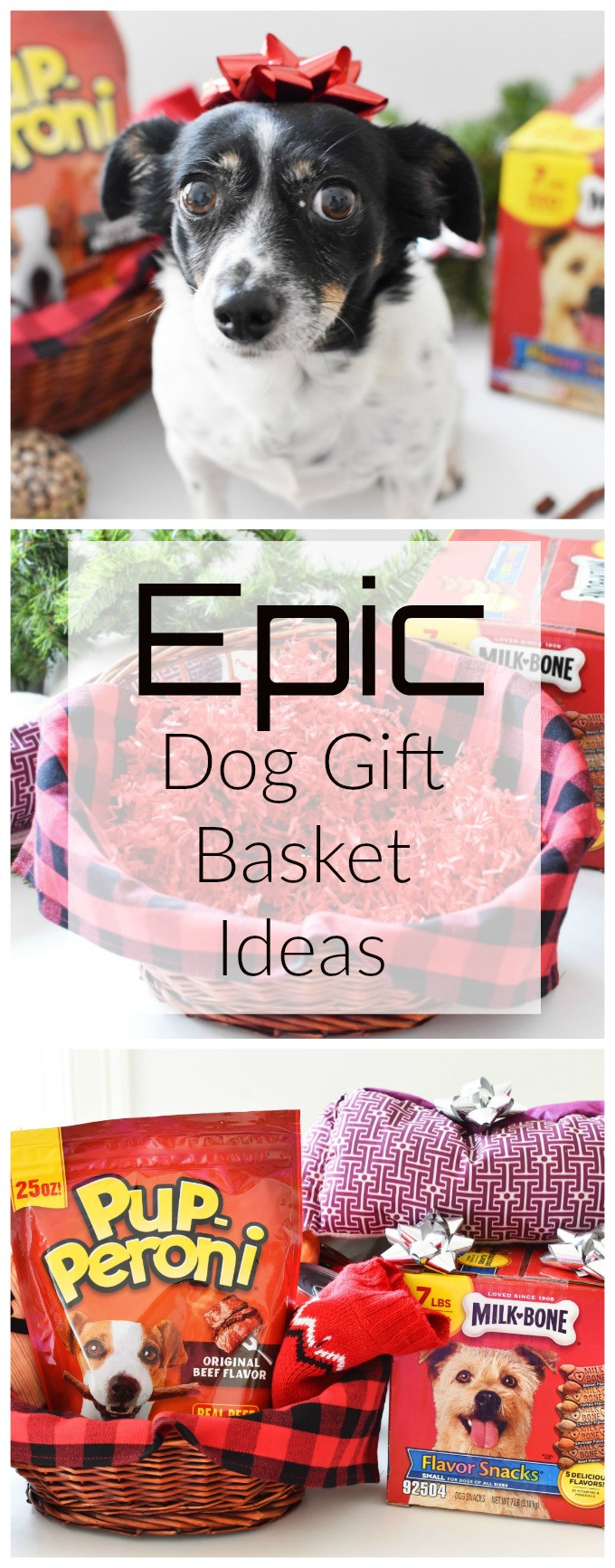 Pet Gift Basket Ideas
 How to Put To her An Epic Dog Gift Basket