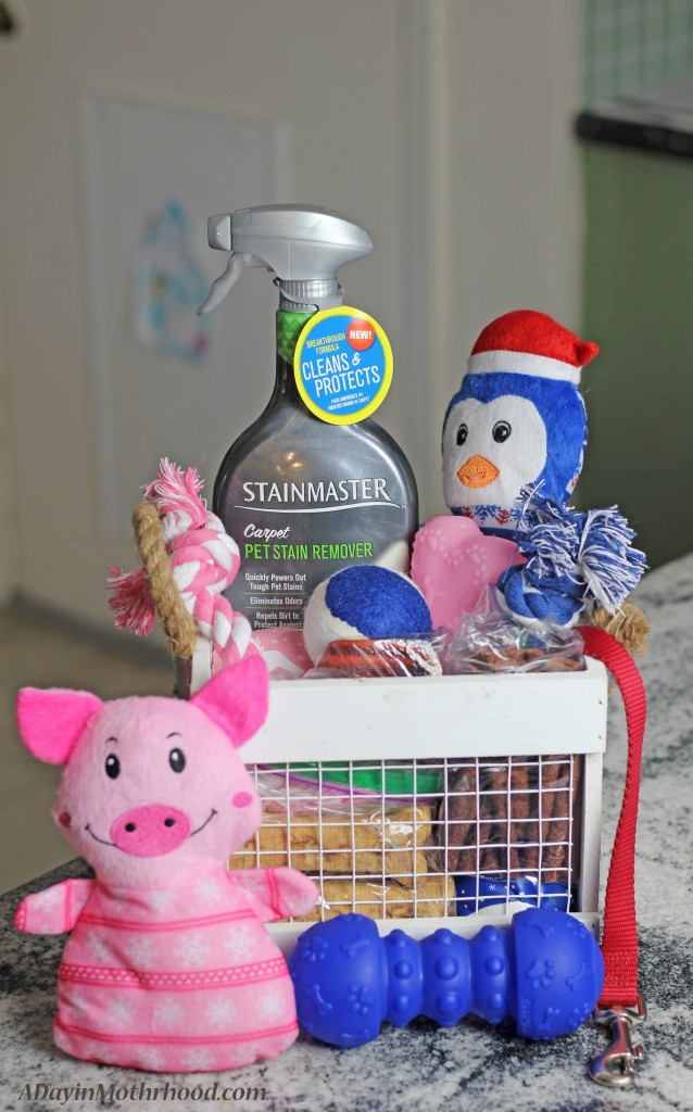 Pet Gift Basket Ideas
 Wel e to the Family Pet Gift Basket Ideas