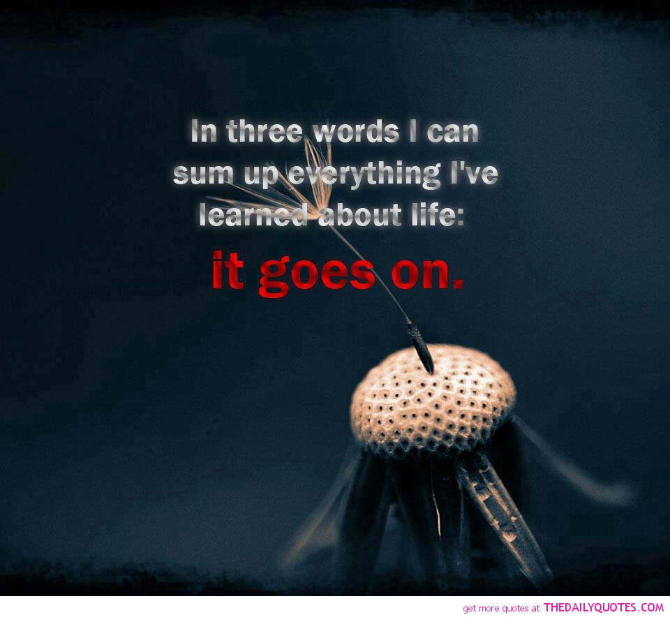 Picture Quotes About Life
 Life Goes Quotes And Sayings QuotesGram