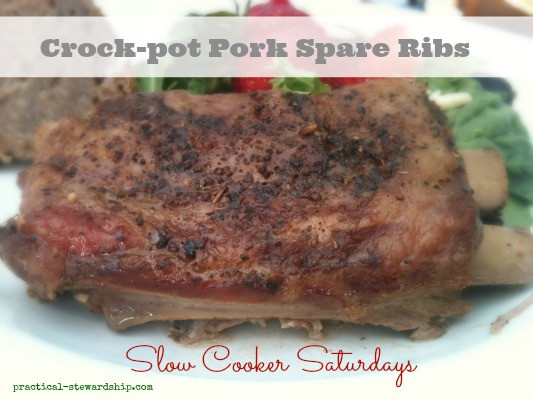 Pork Ribs In Crockpot
 Crock pot Pork Spare Ribs Practical Stewardship
