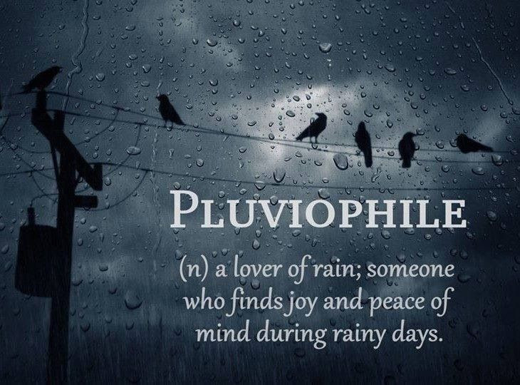 Positive Rainy Day Quotes
 I Love Rainy Days Quotes QuotesGram