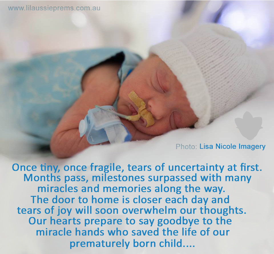 Premature Baby Quotes
 Premature Death Quotes QuotesGram