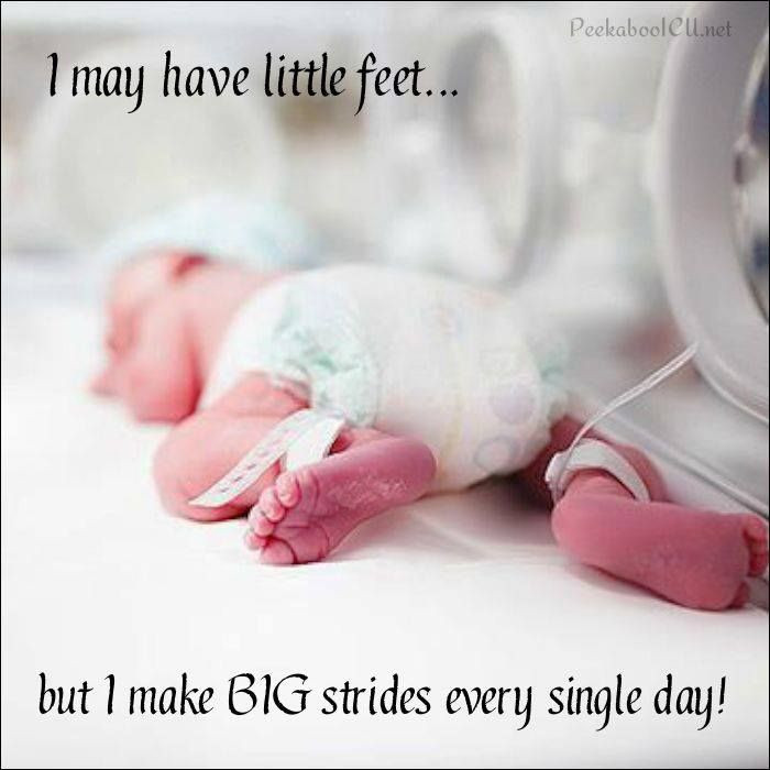 Premature Baby Quotes
 Preemie Poems And Quotes QuotesGram