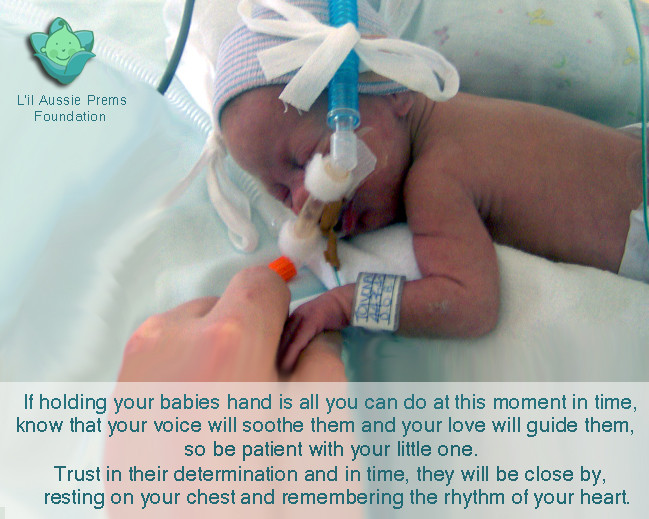 Premature Baby Quotes
 Inspirational Quotes For Premature Babies QuotesGram