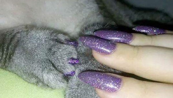 Pretty Nails Limerick
 Is matching a manicure with your pet’s claws the strangest