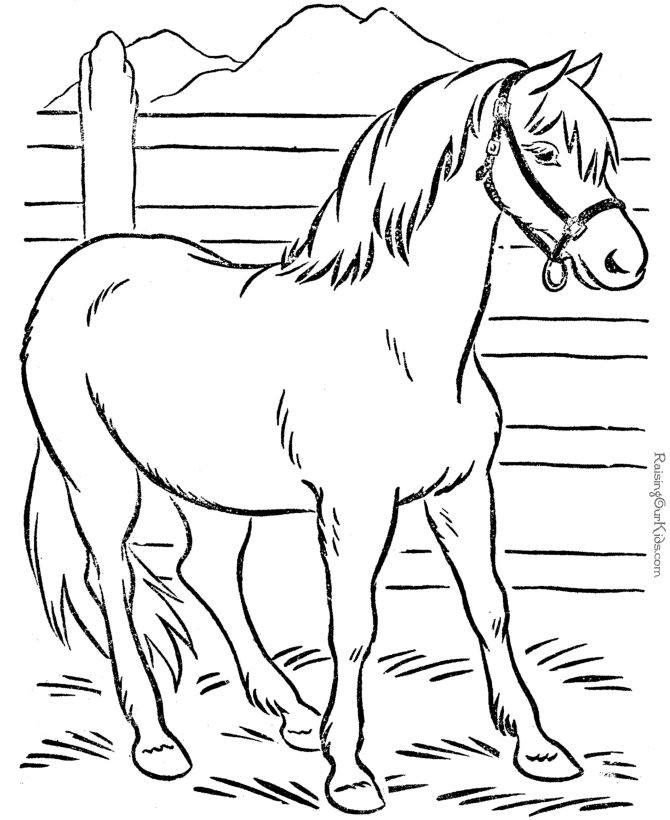 Printable Animal Coloring Pages For Kids
 Animal Coloring Page of Horse to Print