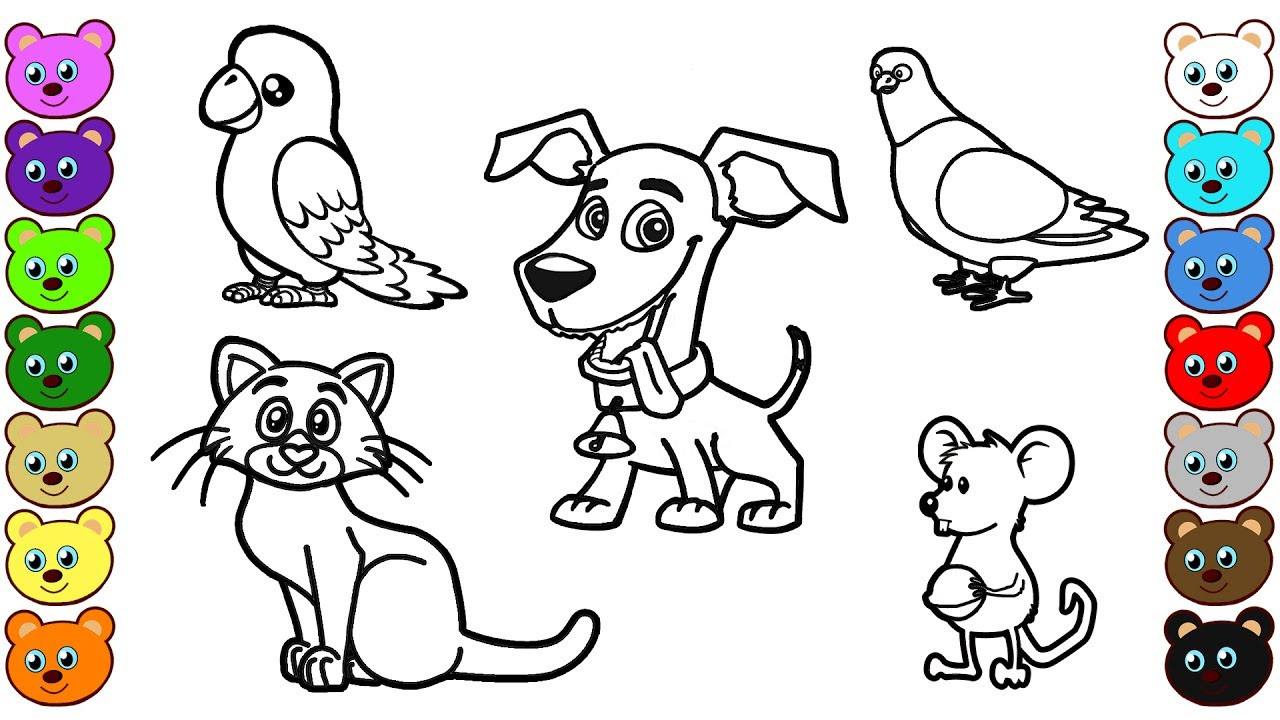 Printable Animal Coloring Pages For Kids
 Learn Colors for Kids with Home Animals Coloring Pages