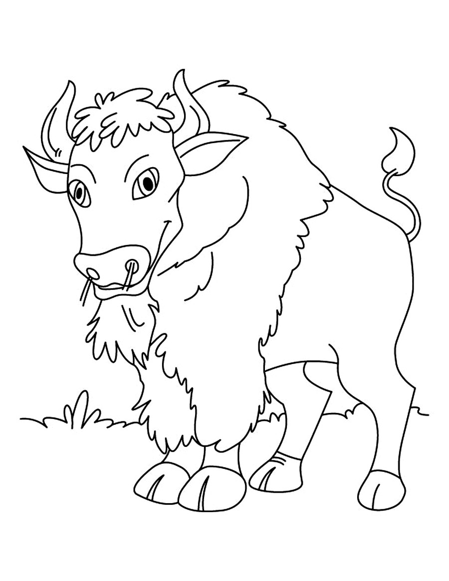 Printable Coloring Book For Kids
 Free Printable Bison Coloring Pages For Kids