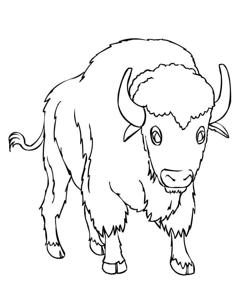 Printable Coloring Pages For Toddlers Free
 Free Printable Bison Coloring Pages For Kids