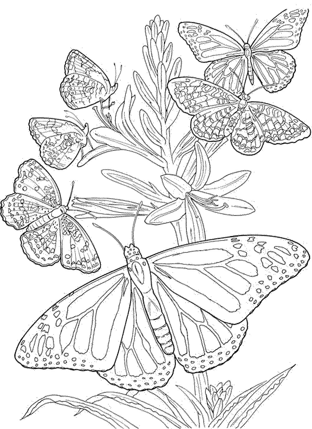 Printable Free Coloring Pages For Adults
 coloring book pages for adults Printable Kids Colouring