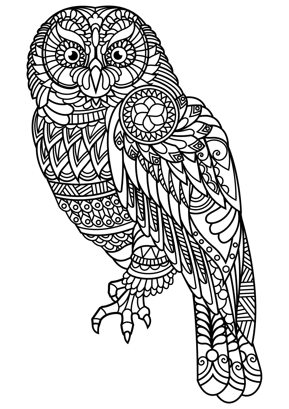 Printable Owl Coloring Pages For Adults
 Free book owl Owls Adult Coloring Pages
