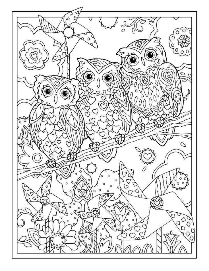 Printable Owl Coloring Pages For Adults
 680 best Coloring owls images on Pinterest