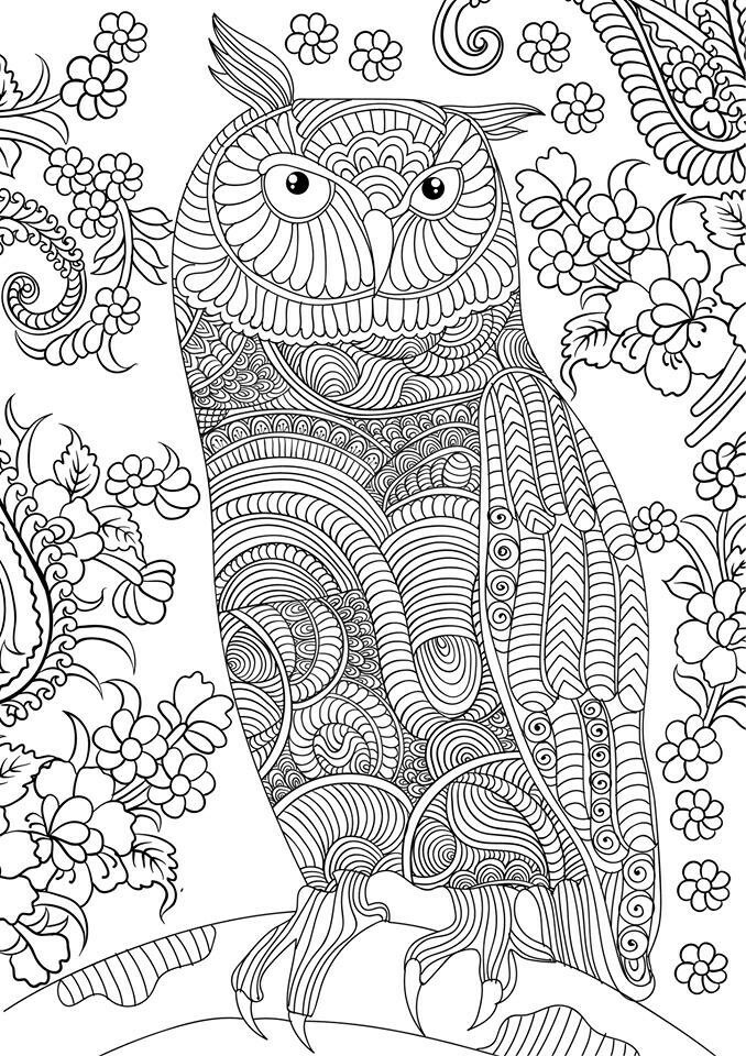Printable Owl Coloring Pages For Adults
 OWL Coloring Pages for Adults Free Detailed Owl Coloring
