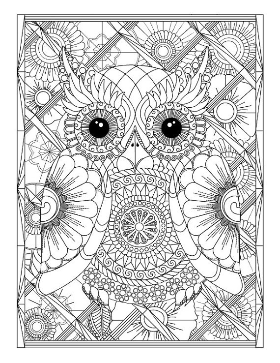 Printable Owl Coloring Pages For Adults
 Owl and Flowers Advanced Coloring Page for Adults Printable
