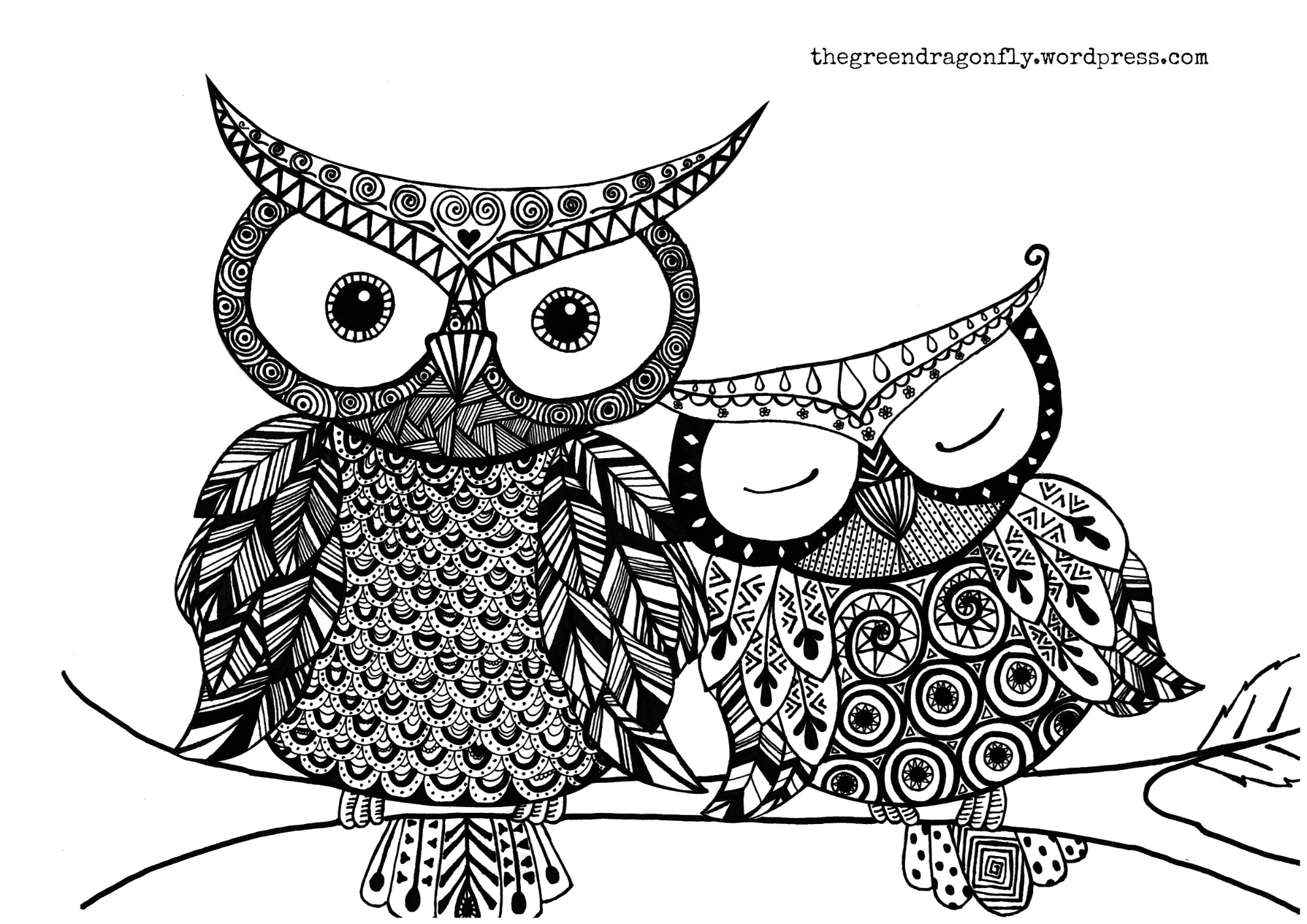 Printable Owl Coloring Pages For Adults
 Owl coloring page – The Green Dragonfly