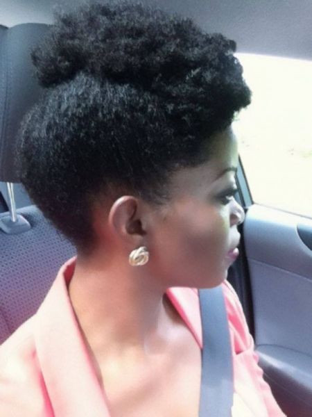 Professional Hairstyles For Natural Hair
 Totally professional Black Hair Information munity