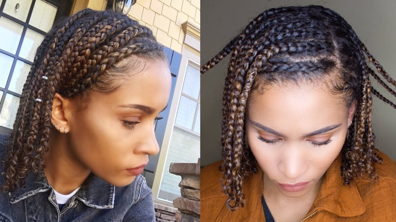 Protective Hairstyles Braids
 Mini BRAIDS Easy Protective Style for NATURAL HAIR