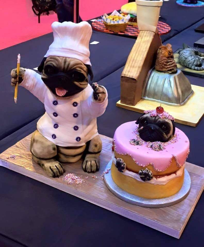 Pug Birthday Cake
 Pug cake Pug Bug