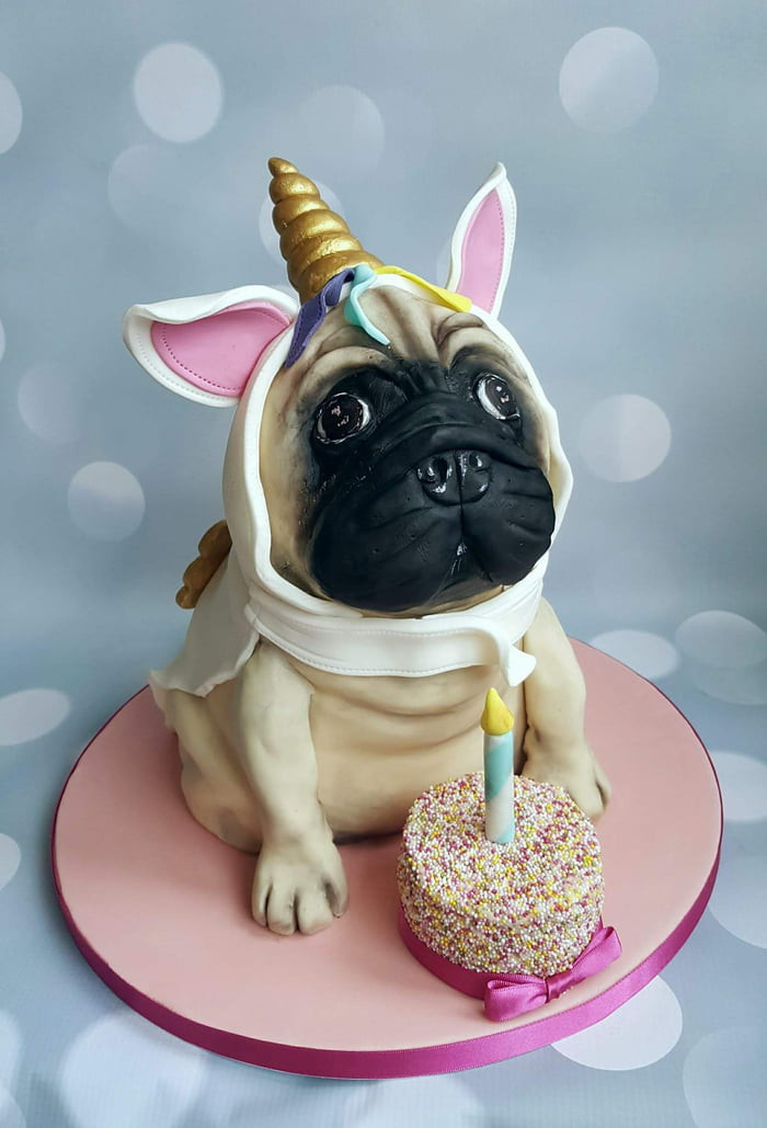 Pug Birthday Cake
 Unicorn Pug birthday cake pletely edible 9GAG